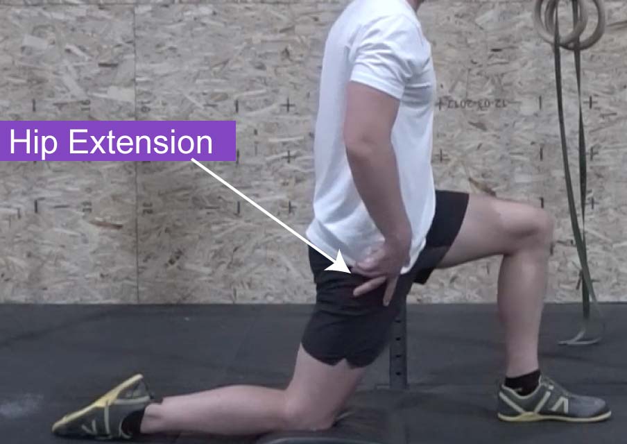 A view of a man in a lunge position demonstrating hip joint extension
