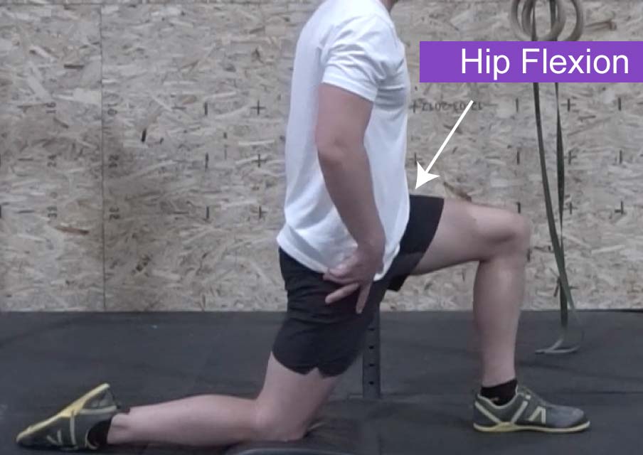 A view of a man in a lunge position showing hip joint flexion