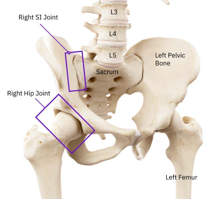 A superior oblique view of the lumbar spine, pelvis, and hip joint with all the bones labeled