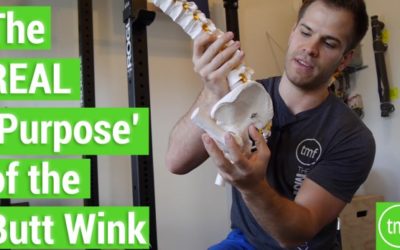 The REAL 'Purpose' of the Butt Wink