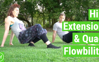 Hip Extension & Quad Stretch