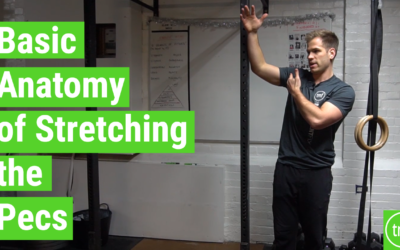 Basic Anatomy of Stretching the Pecs